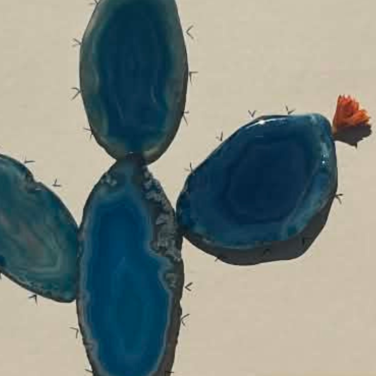 Signature - Desert Bloom No.1