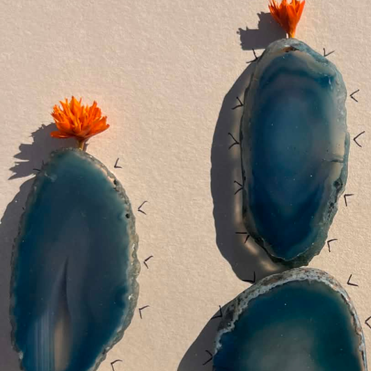Signature - Desert Bloom No.2